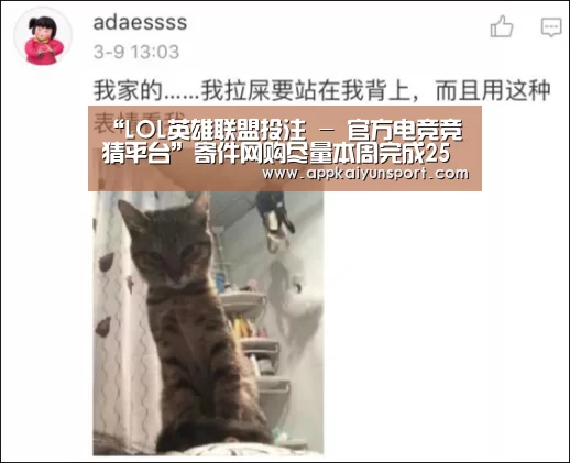 电竞直播