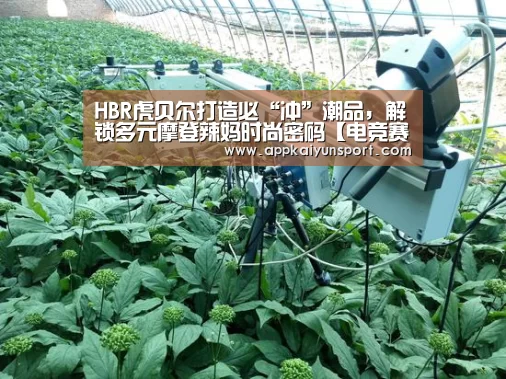 LOL英雄联盟投注 - 官方电竞竞猜平台官网